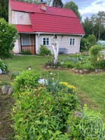 Борки