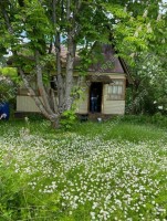 Жаворонки