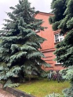 Жуковка