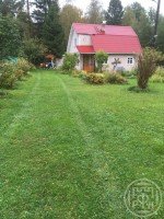 Борки
