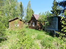 Здоровье массива Трубников Бор, к.нт.