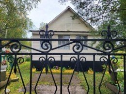 Кобрино, Волна, к.НТ