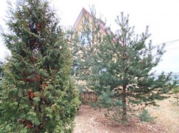 Раменское, 36