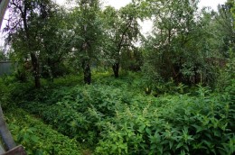 Люберцы, Октябрьский, Первомайская
