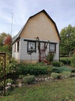 Ротково, Оазис, к.НТ