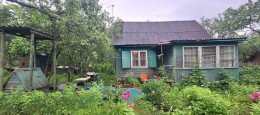Гатчина, Ягодка, к.НТ