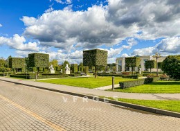 Истра, Чесноково