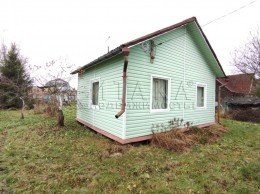 Восход, СН Восход Смольнинского района, Дружбы