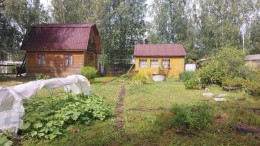 Рахья