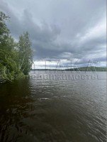 Лосево, Новая