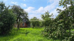 Павловский Посад, Логиново