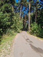 Люберцы, Мотяково