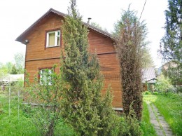 Павловский Посад, Алферово, Луч, к.НТ