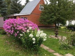 Толмачево, 461