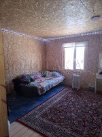 Петровская Горка, Центральная