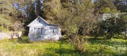 Беляевский мох, ГРЭС N8 имени Кирова, к.нт