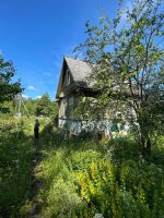 Рощино, Лесная