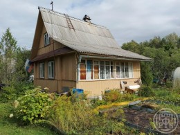 Массив Мшинская