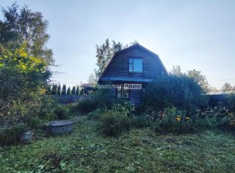 Электросталь, Пушкино, Горелый лес, к.нт