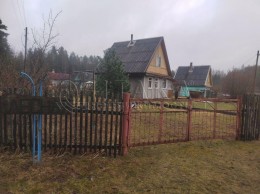 Шамокша, к.нт.