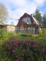 Выборг, Листопадная