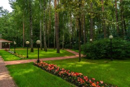 Одинцово, Лесная