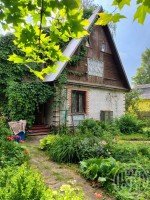 Ухта, Белогорка, к.нт