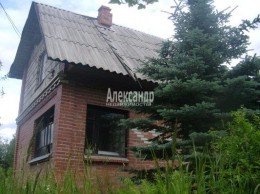 Массив Мшинская, ЛОС, 421