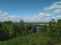 Луховицы, Алпатьево, к.ело