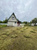 Туровка, 3