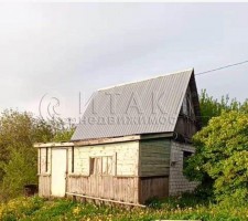 Дружба, Васильковая