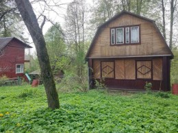 Наро-Фоминск, Головеньки, Интер, 5
