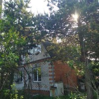 Чехов, Городище, Березка, к.НТ