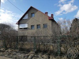 Мухоловка, 26