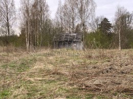 Шамокша, Сельская