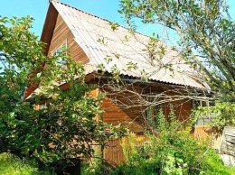 Пупышево, Риф, к.НТ