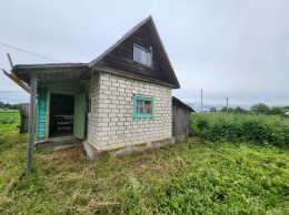 Рабитицы