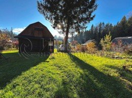 Пальцево, Локомотив-2, к.нт.