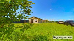 Клопицы