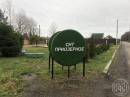массив пос. Синявино-1 Приозерное, 6-я, 16