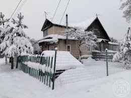 Петергоф, Лесная, 99