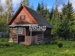 Надежда ВАТТ, 24-я