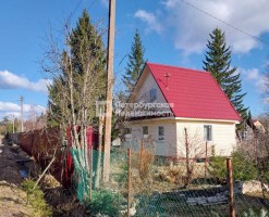 Новинка, Дельфин, 84