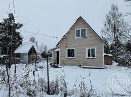 Тайцы, Нива, к.нт