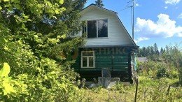 Березка массива Рубеж