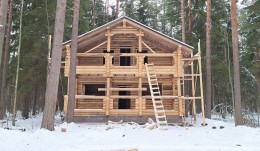 Вырица, Костромская, 14