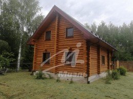 Жучки, Ландыш, 28