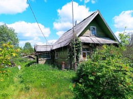 Шоткуса