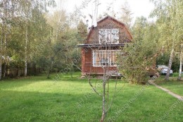 Клин, Опалево