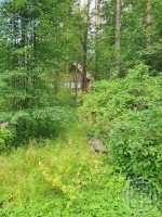 Малышево, Центральная